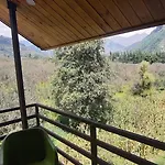 Snow Pine Cottage