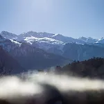 The Professors Hut