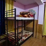 Voyageur Nest