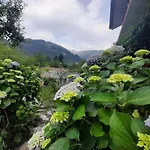 Cliffer Cottage: Make Mountains Memorable!
