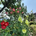 Cliffer Cottage: Make Mountains Memorable!