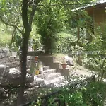 Tall Trees Resort