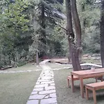 Tall Trees Resort