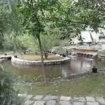 Tall Trees Resort