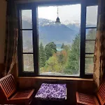 Nasogi Woods - Hotel In Manali
