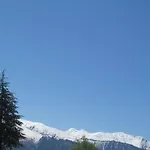 Manali Top Inn
