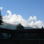 Manali Top Inn