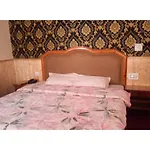 New Manali Villa, Manali