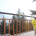 Guruchhaya Hotel And Cottages