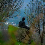 Yaarana Stay & Cafe, Vashisht, Manali