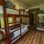 Alt Life - Manali