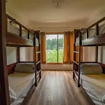 Alt Life - Manali