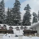 Snow Valley Resorts & Spa Manali