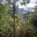 Sky Mountain Manali