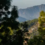 Vine Hills Manali