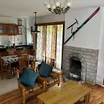 Cornol Zorawar Cottage Manali