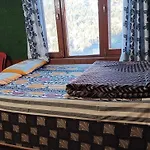 Roop Mountain Homestay