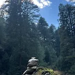 The Harmony Stay Manali Peaceful Location