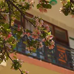 The Manali Lodge