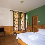 Backpacker Panda Manali