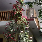 Double Dutch Guest House