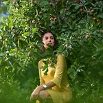 Apple Country Resorts- A Vegetarian Place