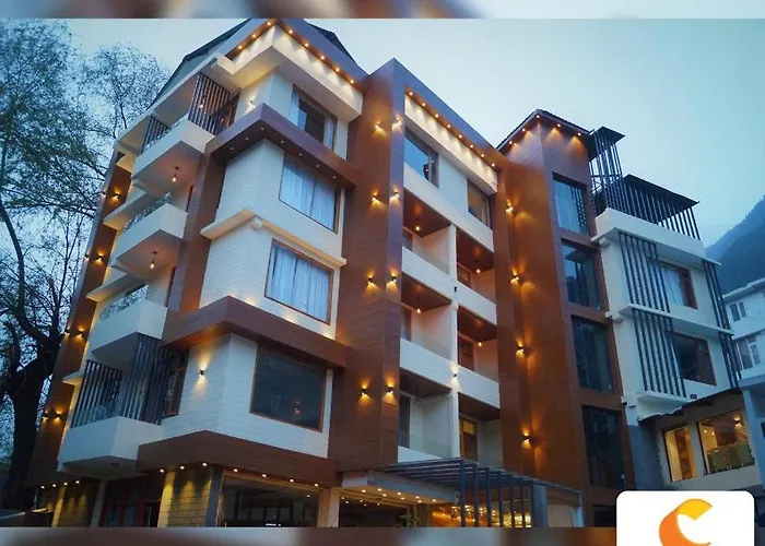 Comfort Inn Snow Park - Manali