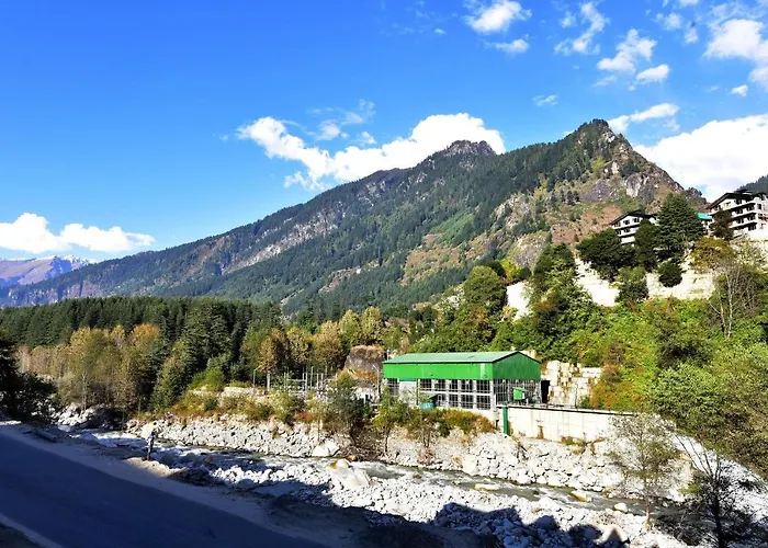 Oyo 19766 Hotel Manali Palace