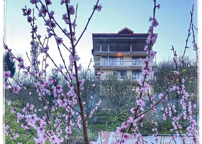 La Heim Hostels