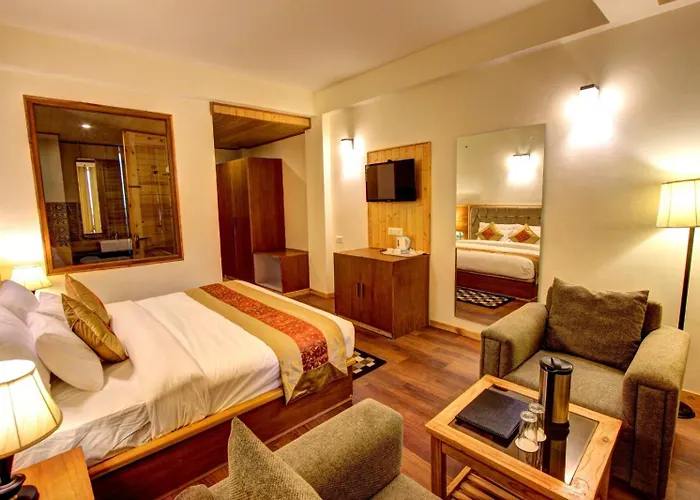 Hotel Bine Manali