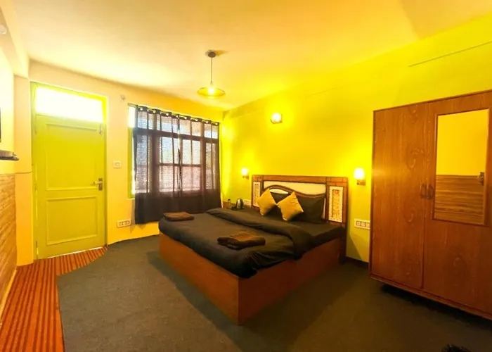 City View Hotel T R I P P Y - T U R T L E Near Park