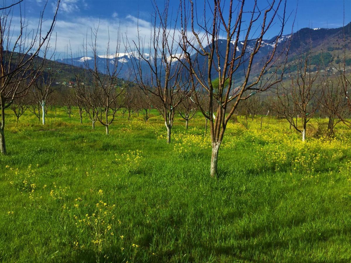 Resort Shivadya - A Luxury Boutique
