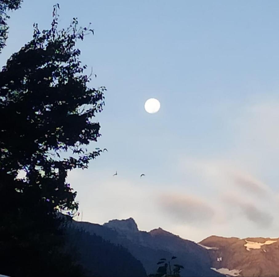North End 3* Manali (Himachal Pradesh)