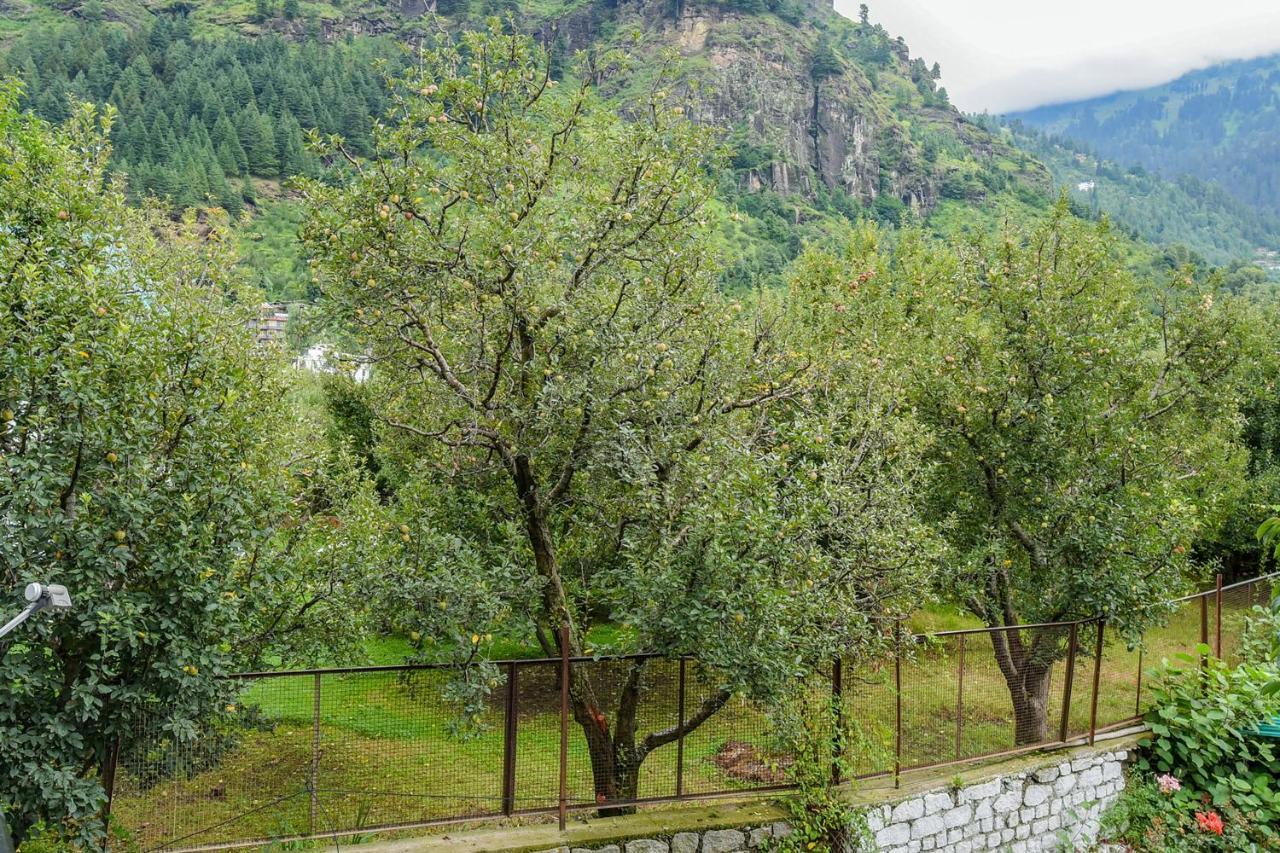 Oyo 33096 Chandertal