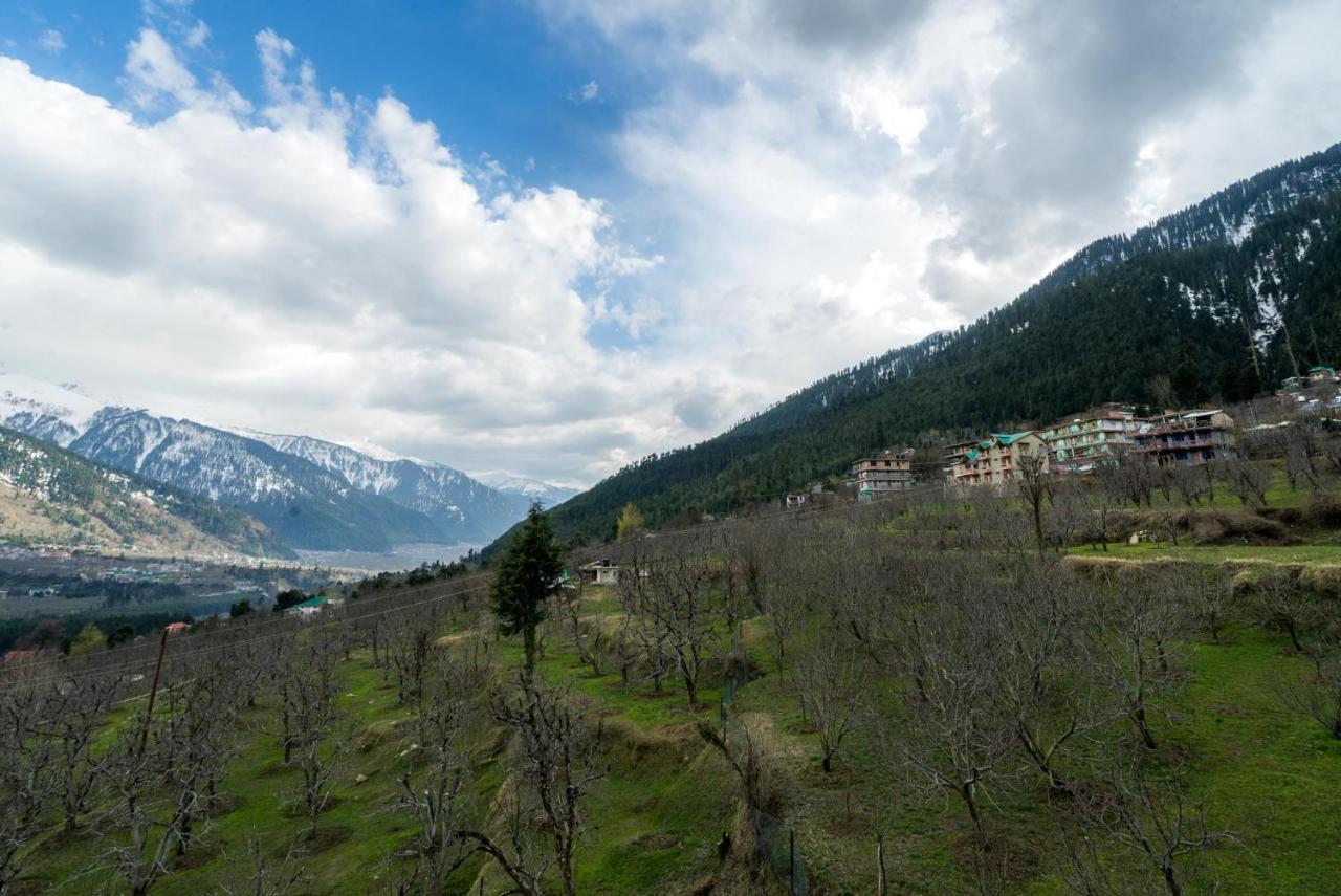 Hotel Oyo 10764 Hadimba Manali (Himachal Pradesh)