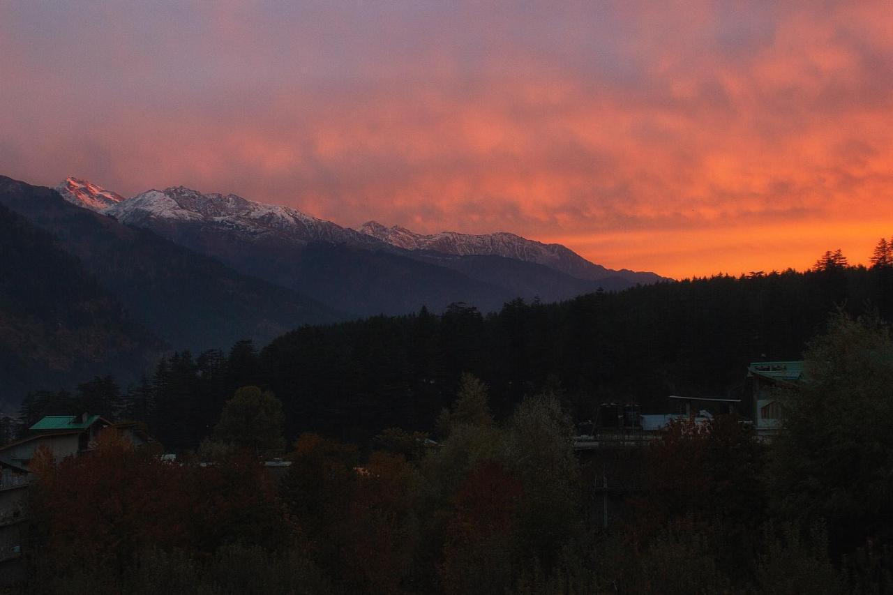 Yolo Backpackers - * Manali (Himachal Pradesh)