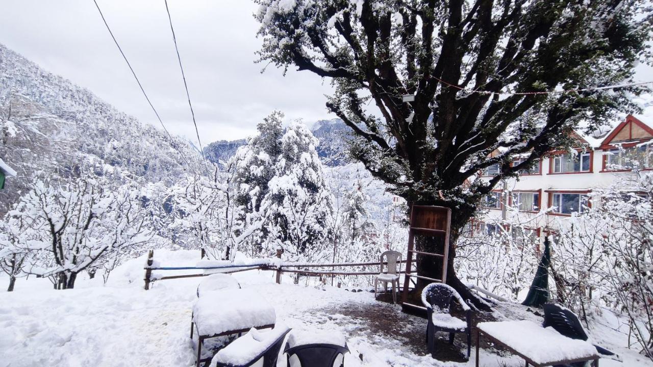 Manali Top Inn 2*
