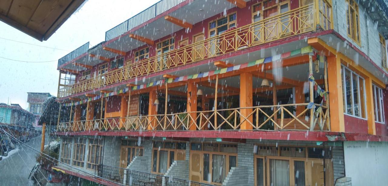 Guest house Rasta Cafe And *