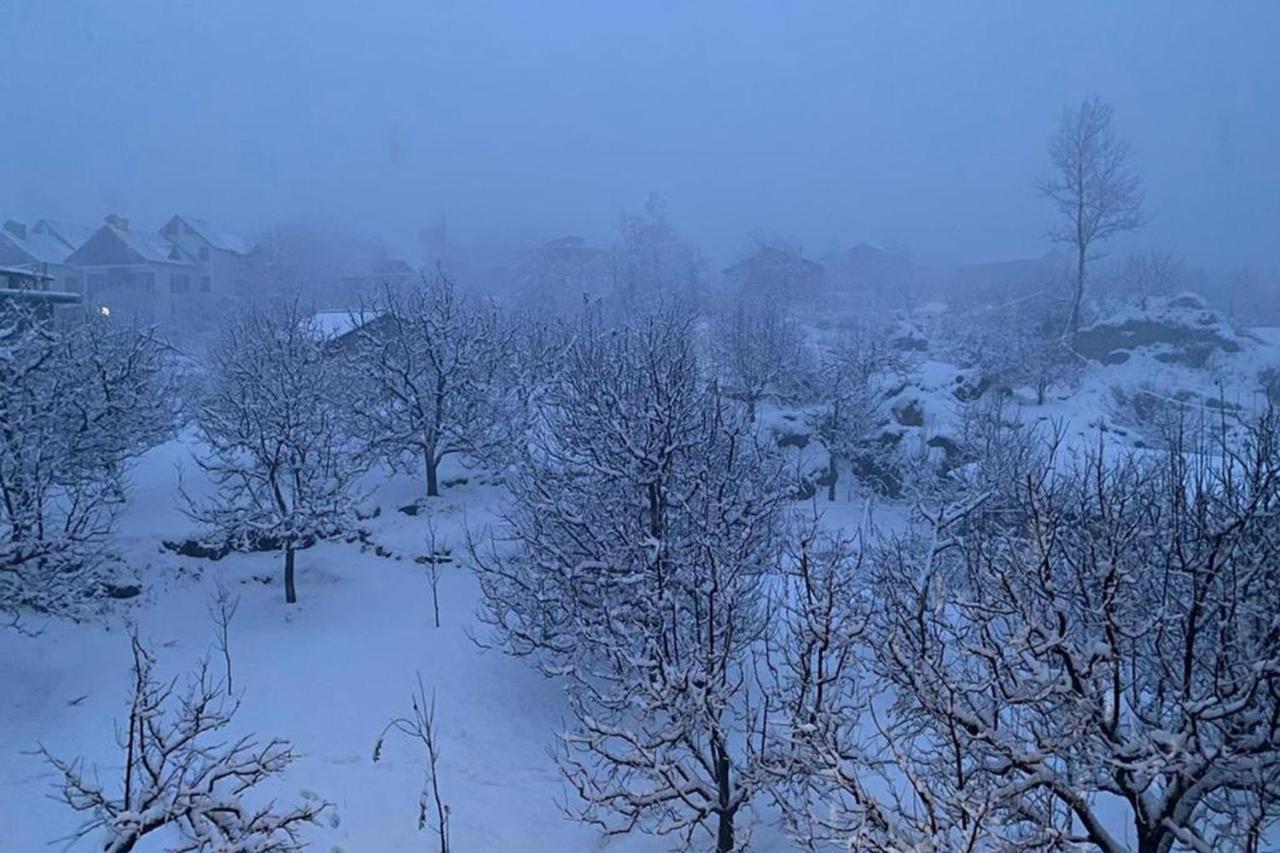 Misty Hills Hotel Manali (Himachal Pradesh)