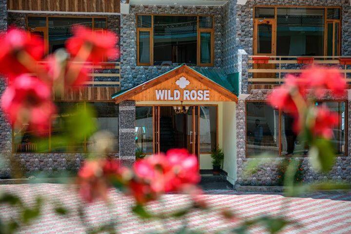 Wild Rose