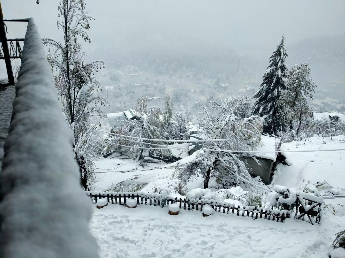 Hostel Stayers And Cafe Manali (Himachal Pradesh)