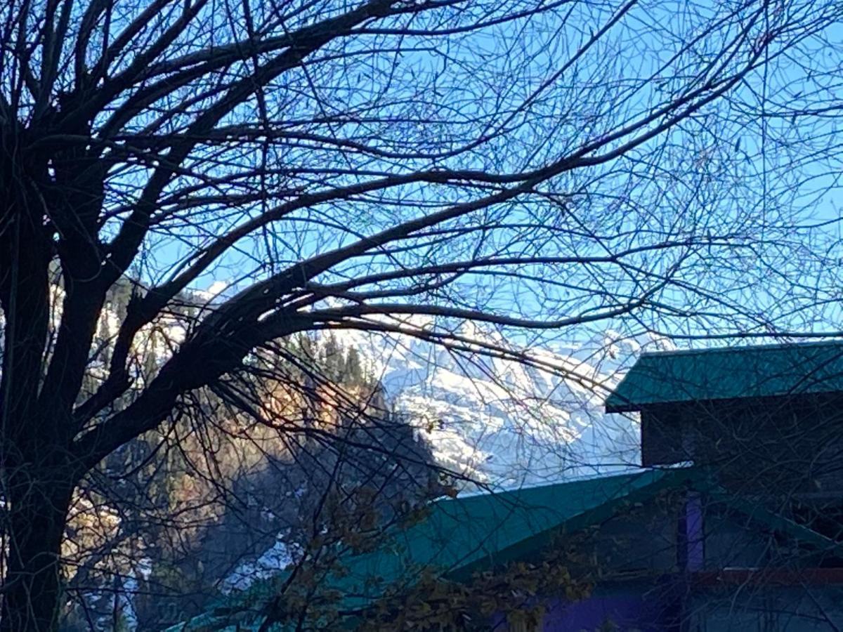 Solang Valley 4* Manali (Himachal Pradesh)