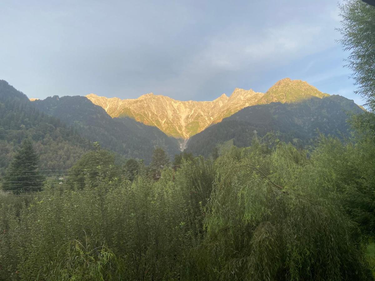 Resort Solang Valley