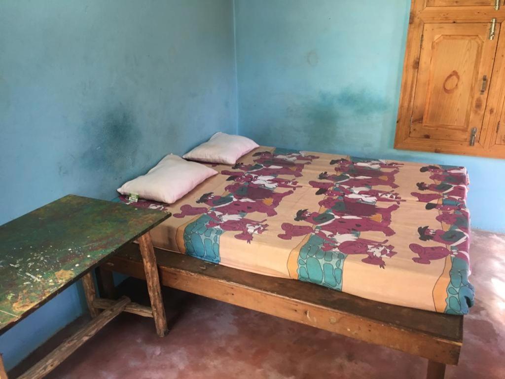 Hostel Travelosic Junction