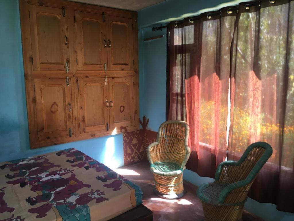 Hostel Travelosic Junction Manali (Himachal Pradesh)