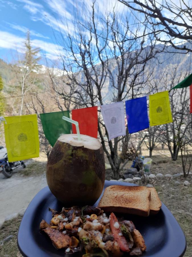 Manali Top Inn Manali (Himachal Pradesh)
