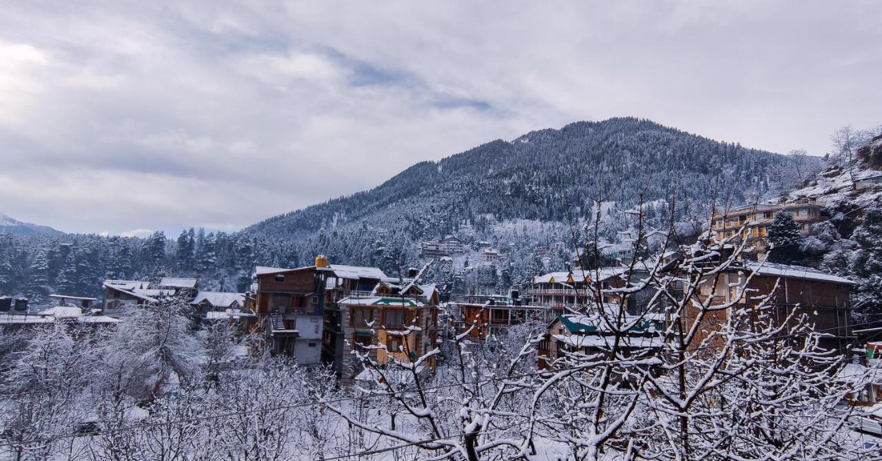 Yolo Backpackers - Manali (Himachal Pradesh)