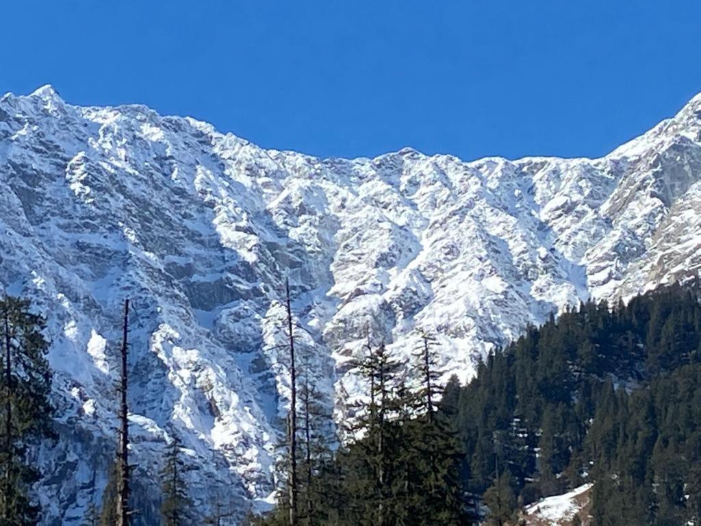 Resort Solang Valley