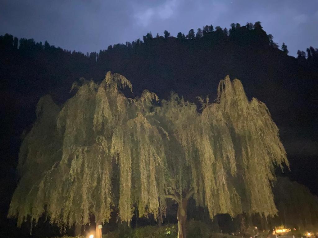Resort Solang Valley 4*