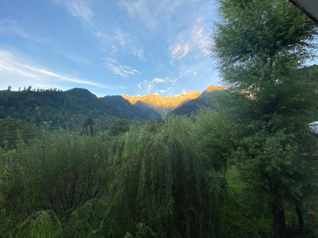 Solang Valley 4* Manali (Himachal Pradesh)